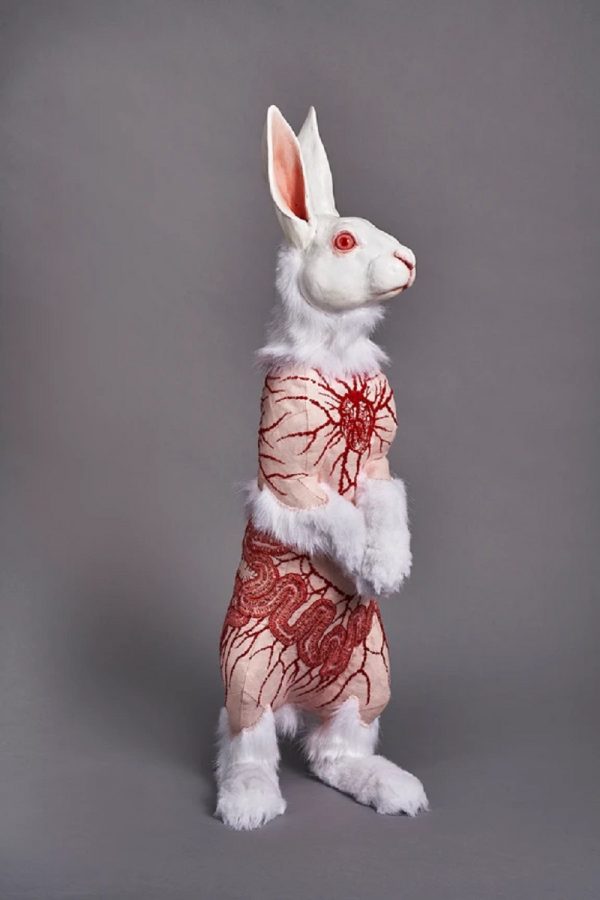 Deborah Simon - Flayed Rabbit Albino with Cells