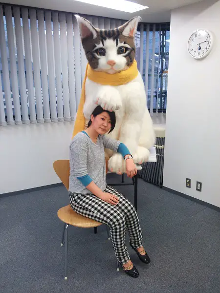 Hoyuki Sato, Big Kitty