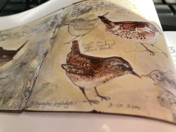 Mandy Pattullo Textiles transformed bird drawings 1