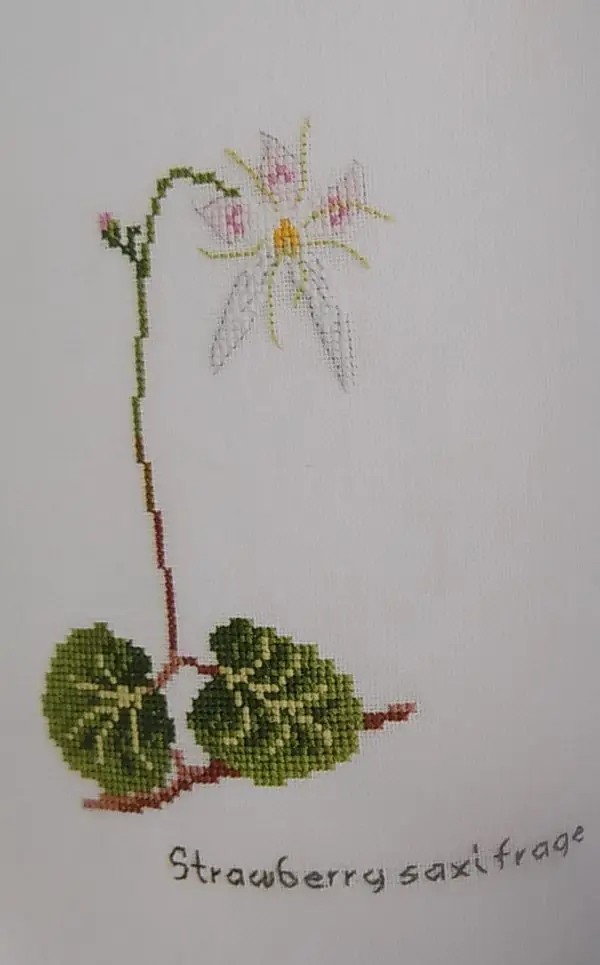 Cross Stitch Wildflowers and Grasses