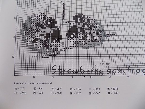 Cross Stitch Wildflowers and Grasses