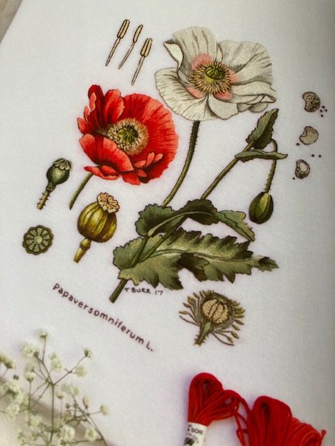 Kew Embroidery Trish Burr - poppies