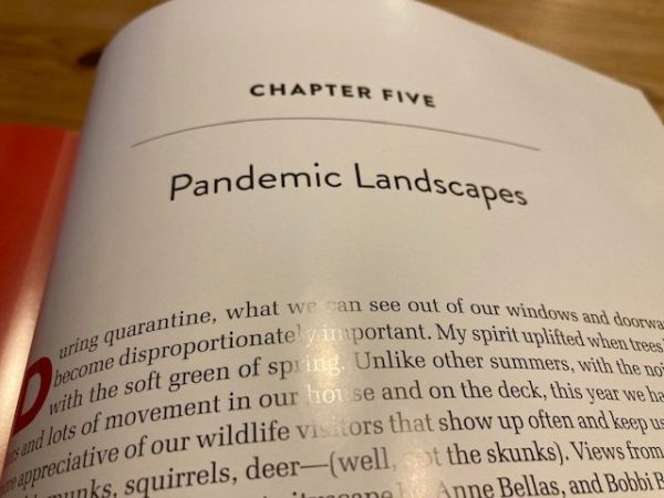 Quarantine Quilts Sandra Sider chapter five on pandemic landscapes