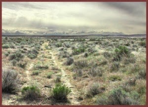 A lonely stretch of the Oregon Trail