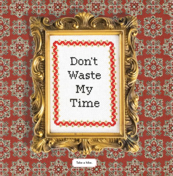 Subversive Cross Stitch - Don't Waste My Time
