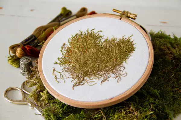 Eline Gaudé-Hanses - Moss Embroidery Sample - 2022