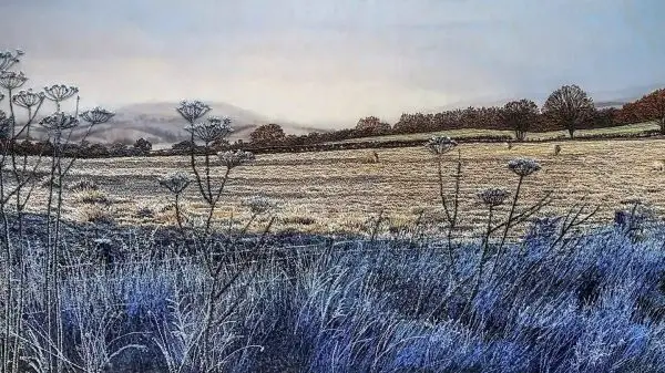 Alison Holt - One Frosty Morning