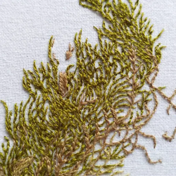 Eline Gaudé-Hanses - Making Magic With Moss