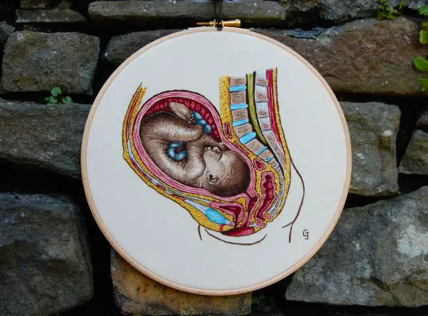 Cath Janes - Baby in utero - anatomical hand embroidery
