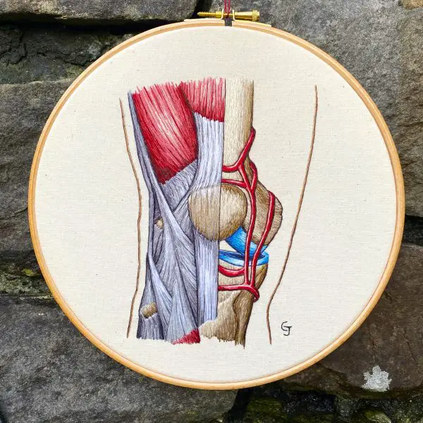 Cath Janes - Knee - anatomical hand embroidery