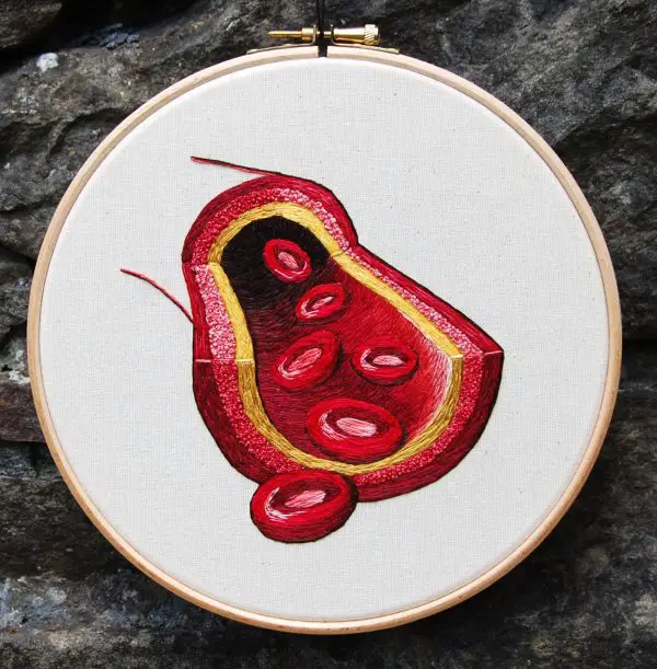 Cath Janes - Blood Cell - anatomical hand embroidery