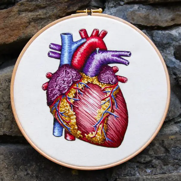 Cath Janes - Heart - anatomical hand embroidery