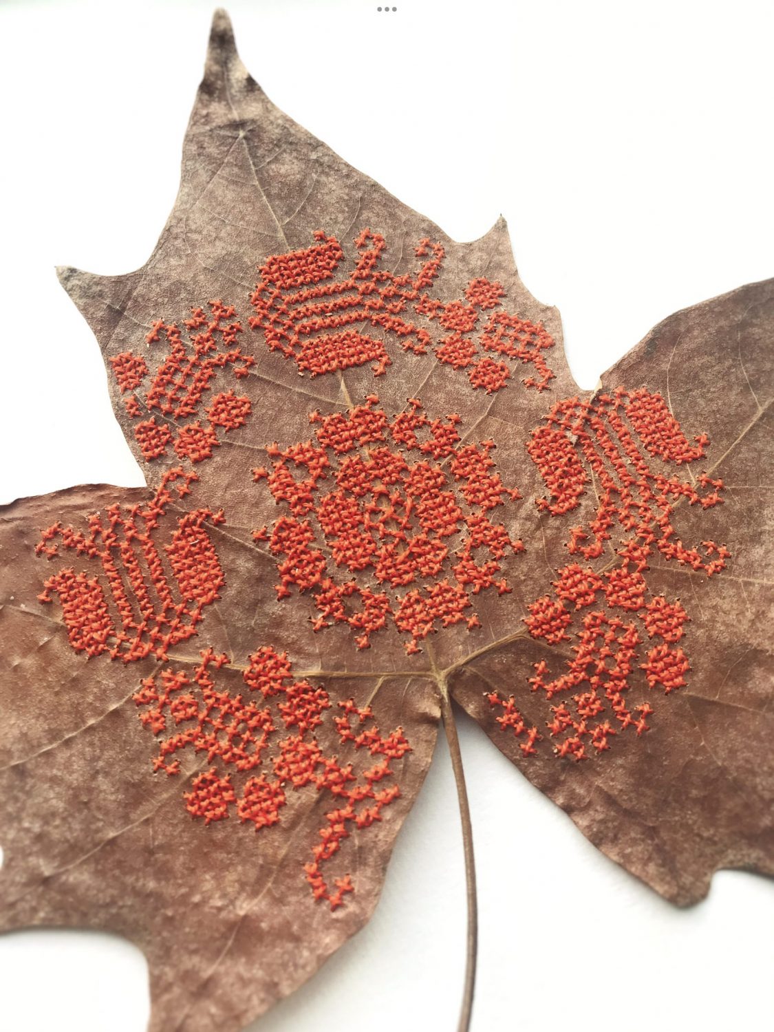Red cross-stitch, stitched into dried leaves