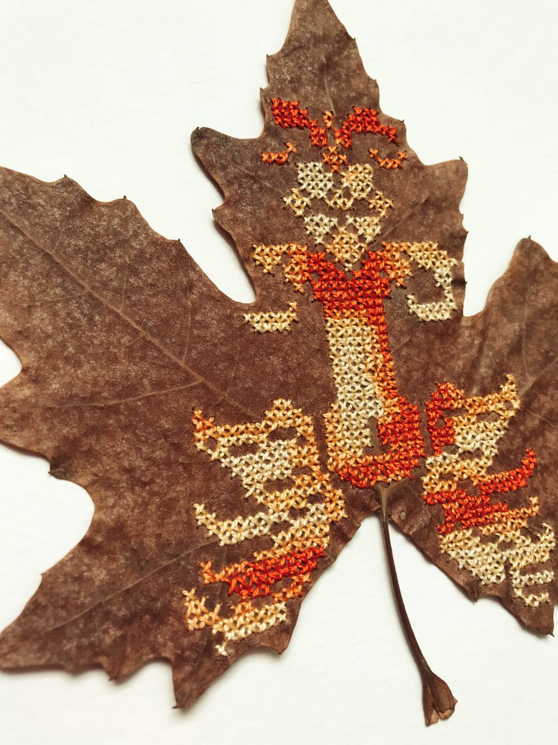 Red, yellow and orange cross-stitch, stitched into dried leaves