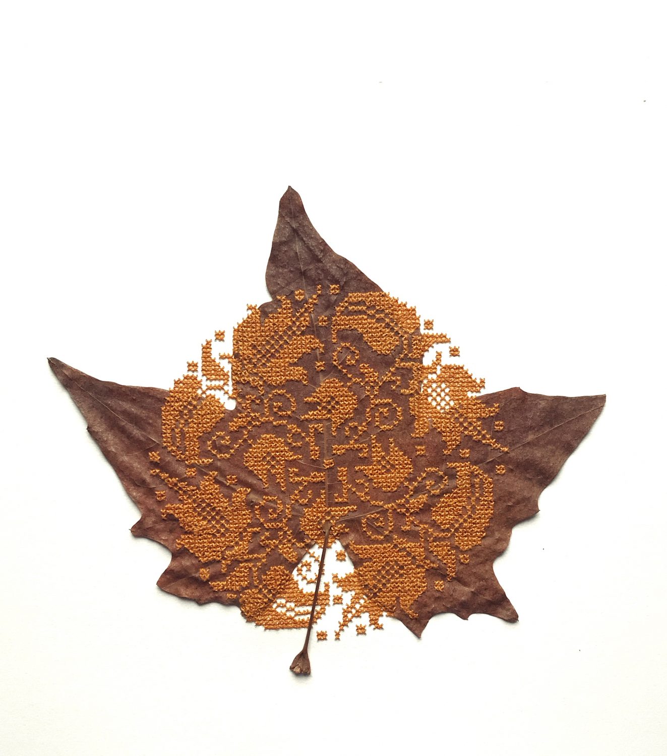 Golden brown cross-stitch, stitched into dried leaves