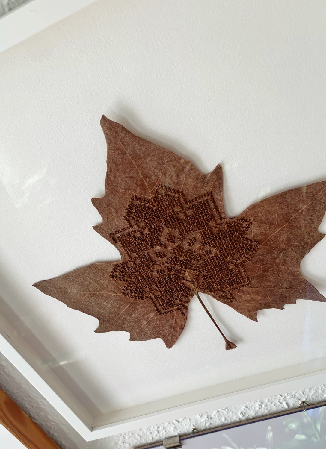 Brown cross-stitch, stitched into dried leaves